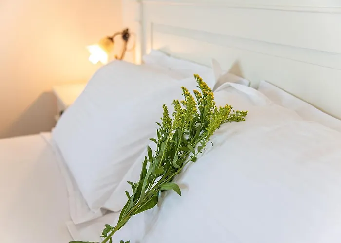 Sotiris Κατάβολος